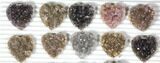 Lot: Druzy Amethyst/Quartz Heart Clusters ( Pieces) #127587-1